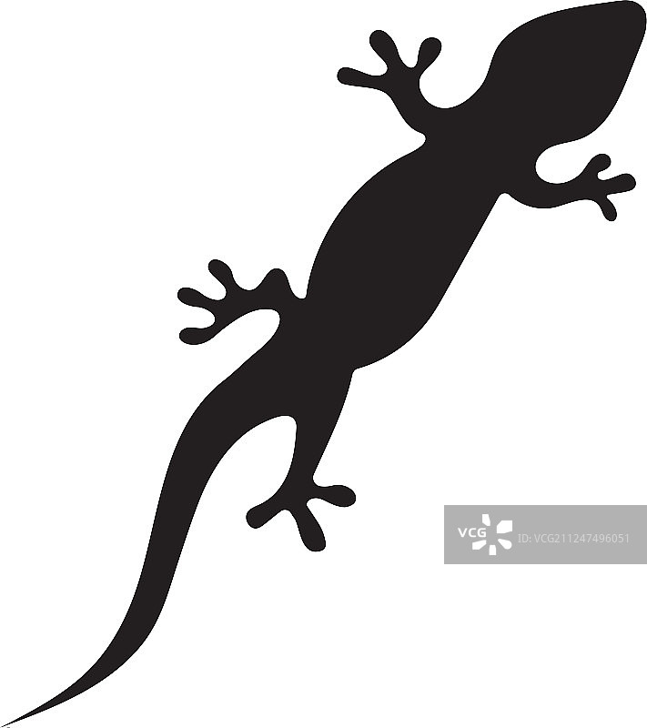 蜥蜴变色龙壁虎黑色剪影图片素材