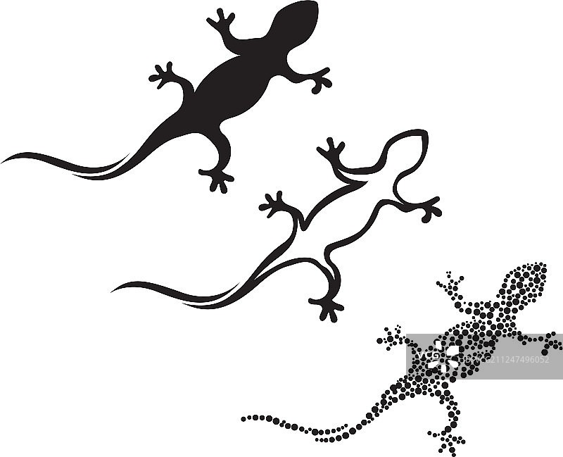 蜥蜴变色龙壁虎黑色剪影图片素材