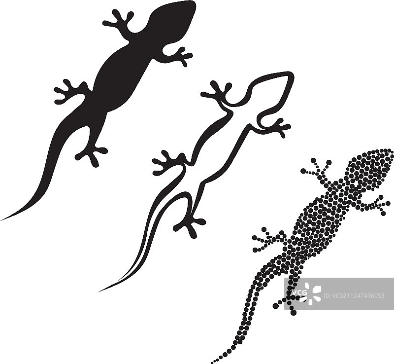 蜥蜴变色龙壁虎黑色剪影图片素材