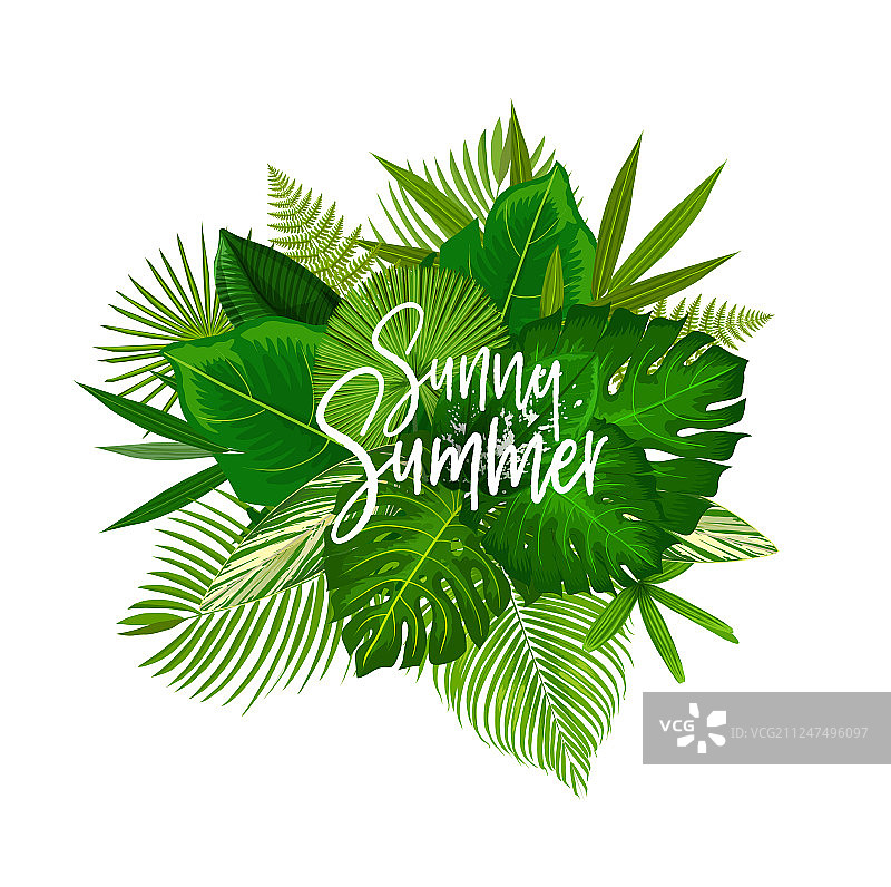 阳光明媚的夏日热带棕榈叶海报图片素材
