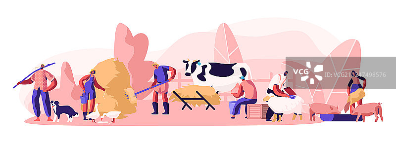 人们从事农业工作，喂养家畜图片素材