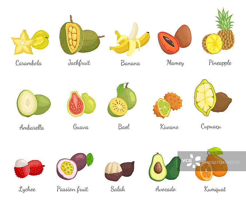 荔枝和杨桃鳄梨组合名称图片素材