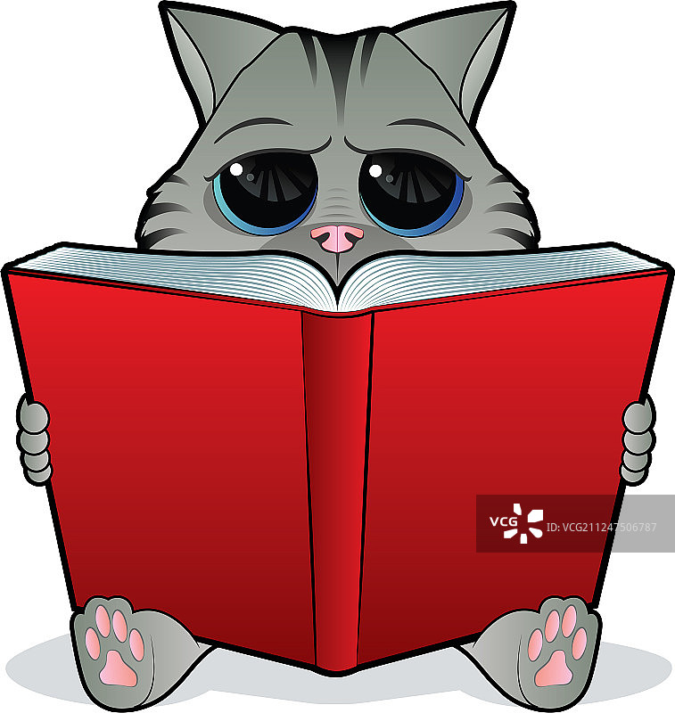 小猫阅读图片素材