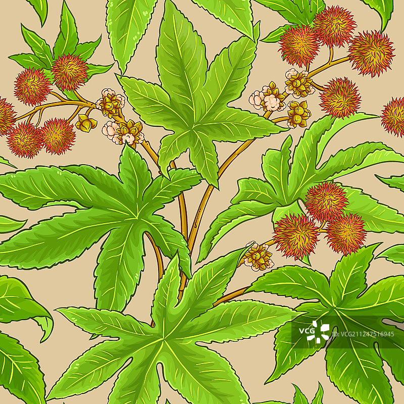 蓖麻图案图片素材