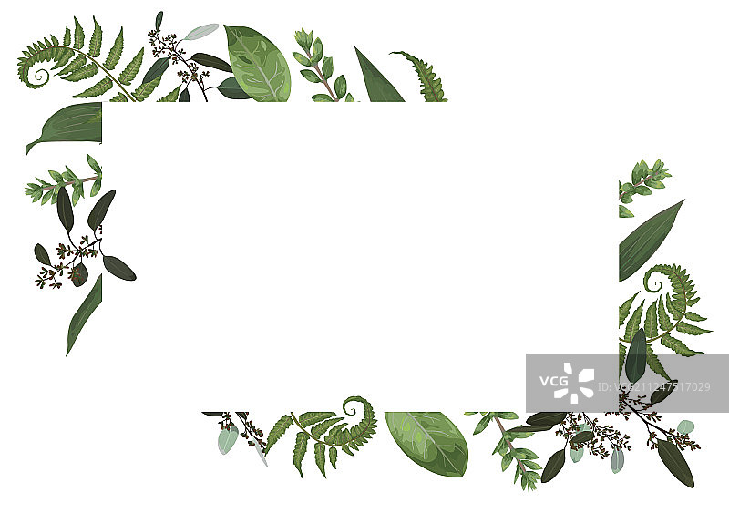 绿色水彩花卉设计的卡片图片素材