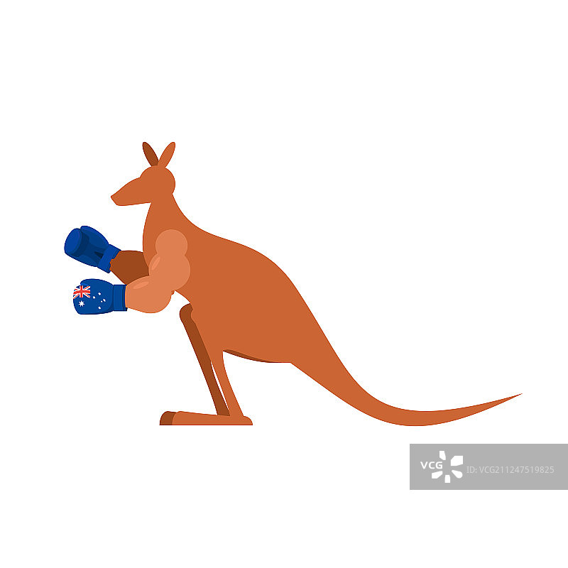 袋鼠和拳击手套澳大利亚拳击手图片素材