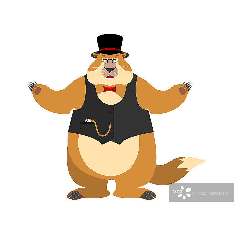 戴帽子的土拨鼠图片素材