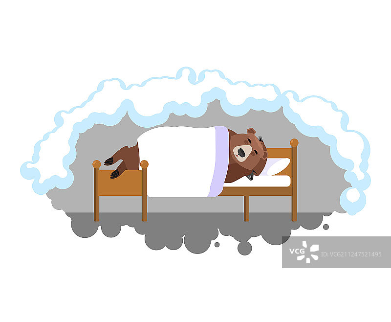 灰熊在床上睡觉图片素材