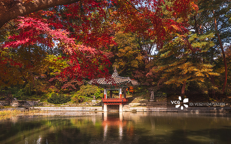 韩国首尔昌庆宫的秋季景观图片素材