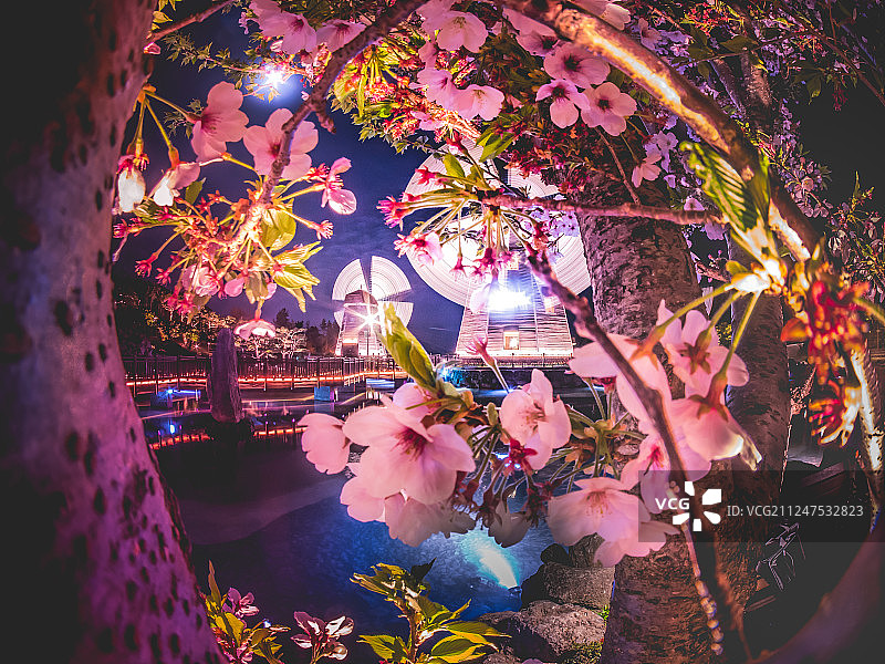 韩国济州岛乐天酒店风光图片素材