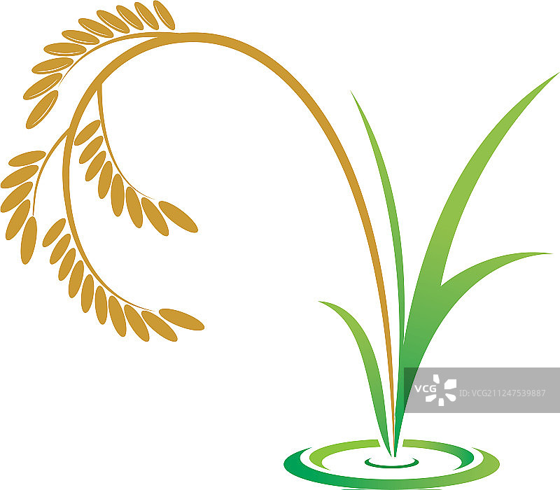 有机大米图标图片素材