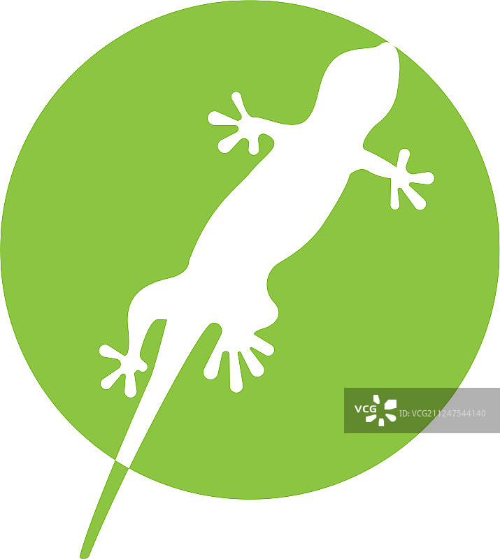 蜥蜴变色龙壁虎黑色剪影图片素材