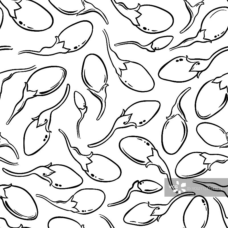 白色背景上的枸杞图案图片素材