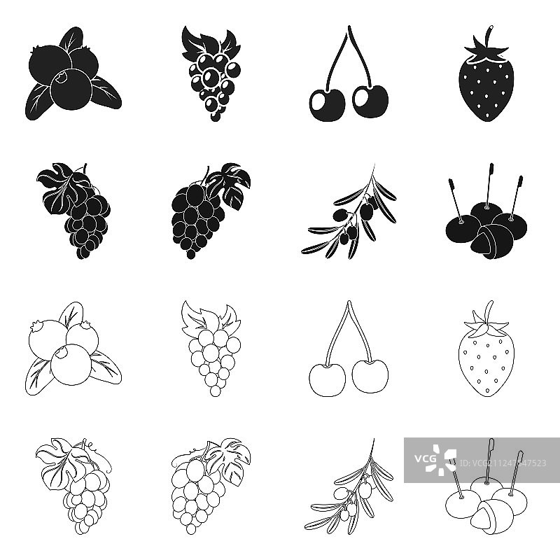 浆果和水果标志集图片素材