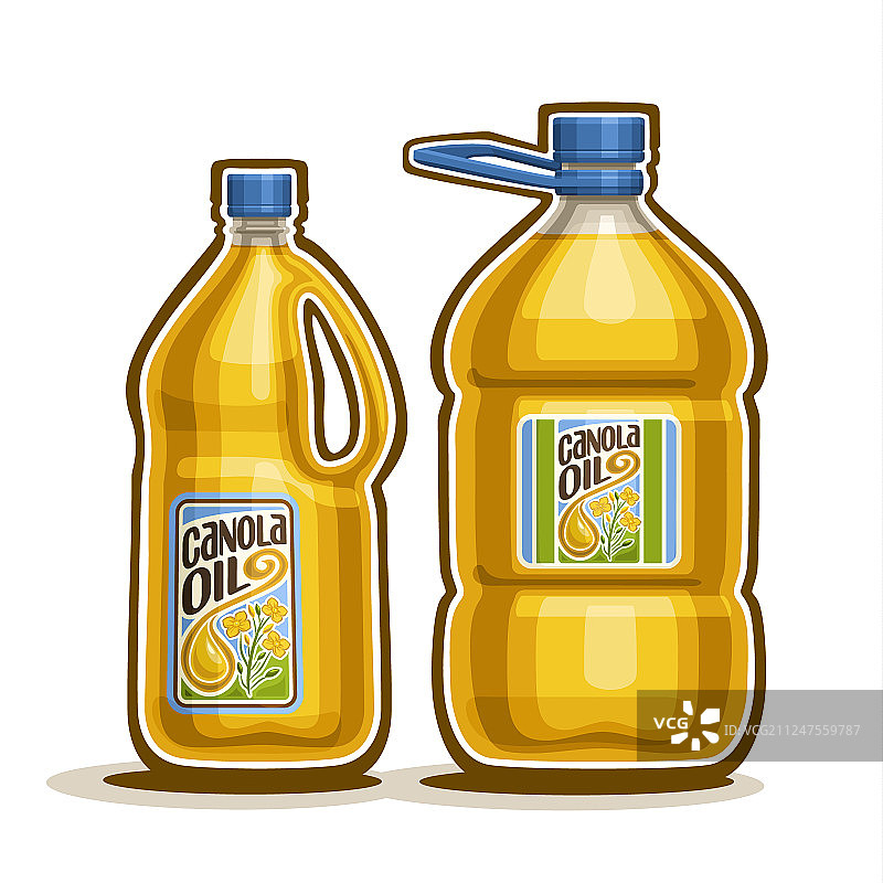 两瓶大号黄色塑料瓶装菜籽油图片素材