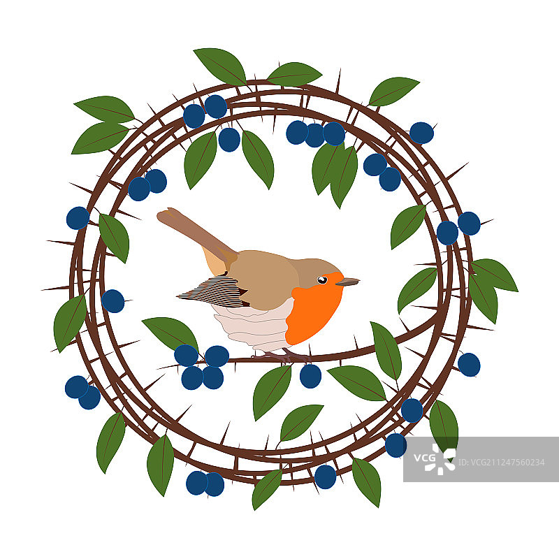 黑刺莓果树枝叶框架图片素材