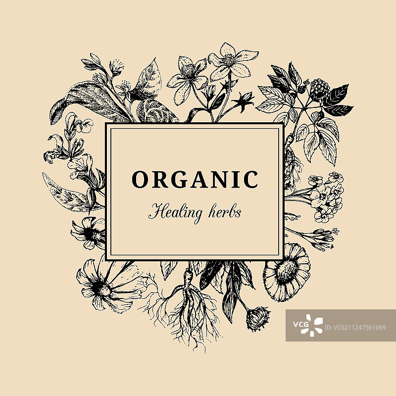 手绘药草化妆品图片素材