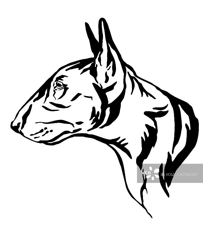 牛头梗犬装饰肖像图片素材