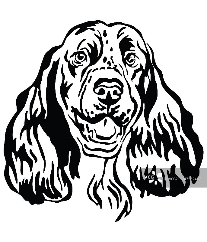 装饰性英国激飞猎犬画像图片素材