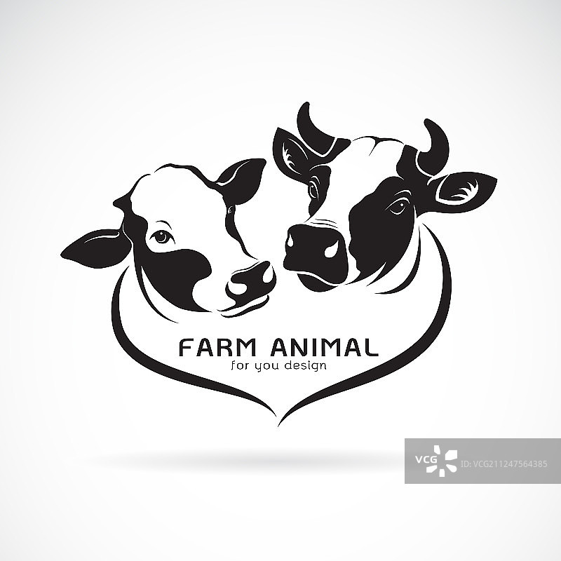 白色背景上的两个奶牛头设计图片素材