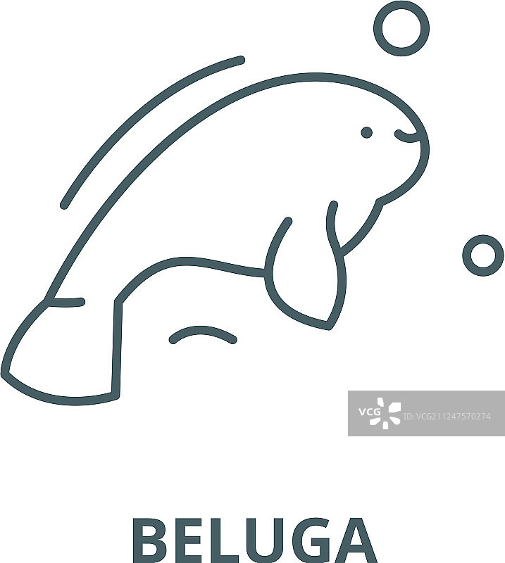 白鲸线性图标概念轮廓图片素材