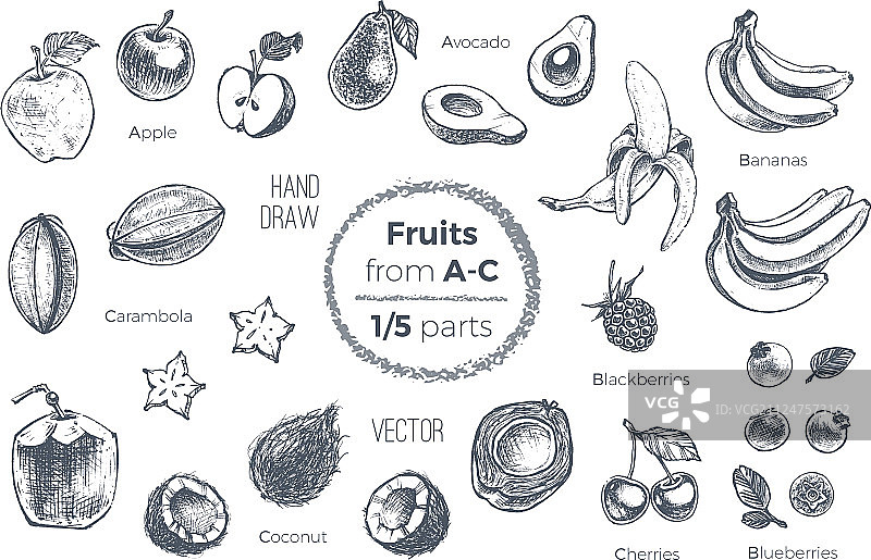 手绘水果素描图标 有机食品图片素材
