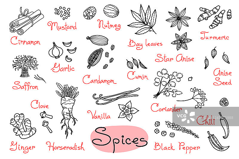 用于设计菜单食谱的香料图纸套装图片素材