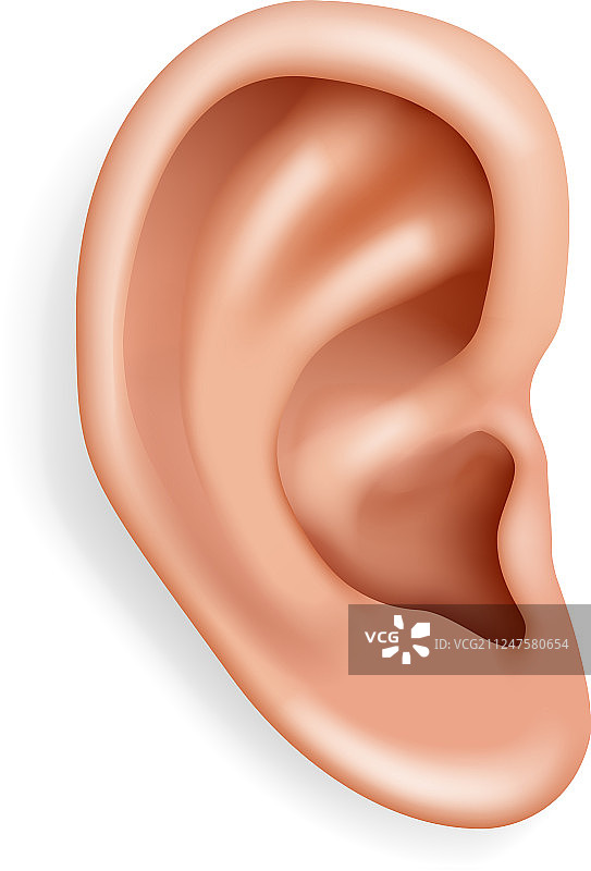 人耳器官听力保健特写图片素材