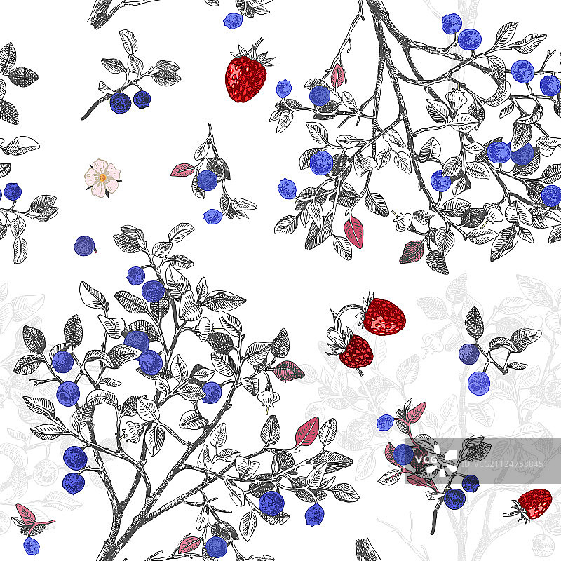 蓝莓灌木丛无缝图案图片素材