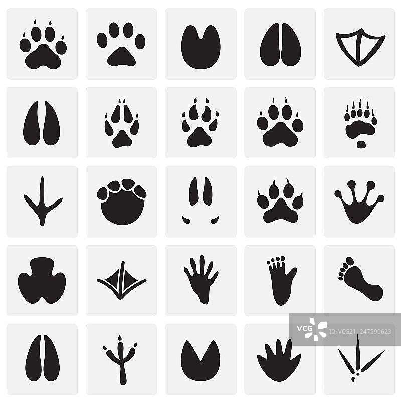 方形背景上的动物脚印图标集图片素材