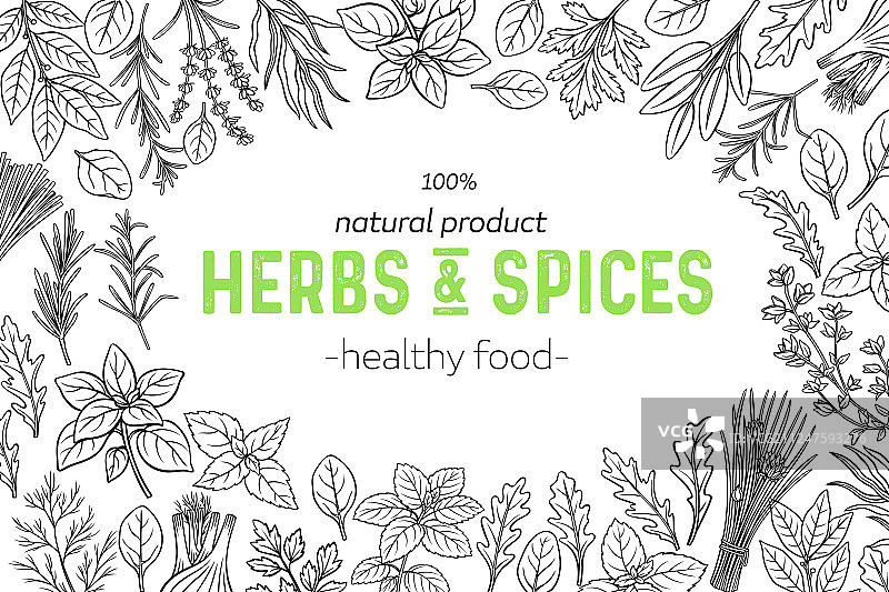 草药和香料图片素材