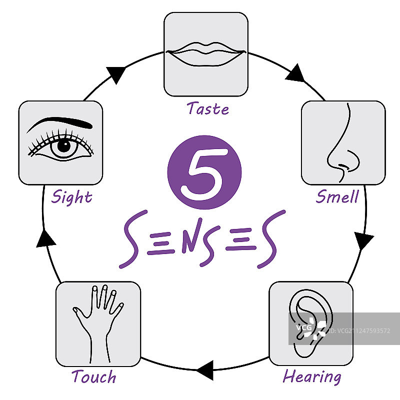 五种感官图片素材
