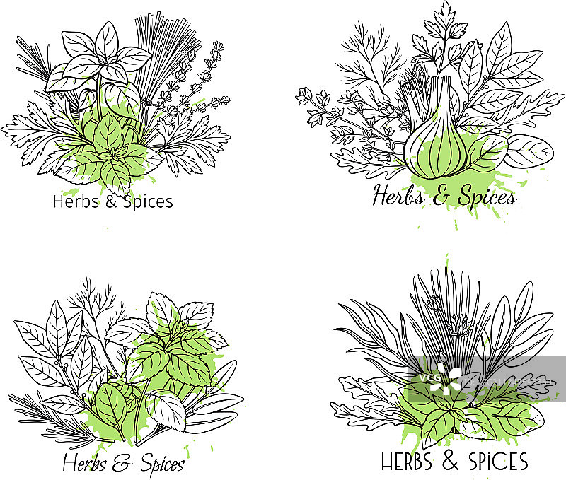 香草与香料无缝边框图片素材