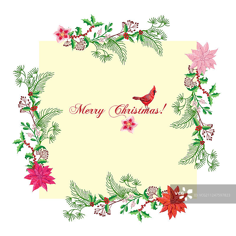 小鸟和圣诞红装饰圣诞卡片图片素材