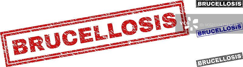 Grunge风格布鲁氏菌病划痕矩形印章图片素材