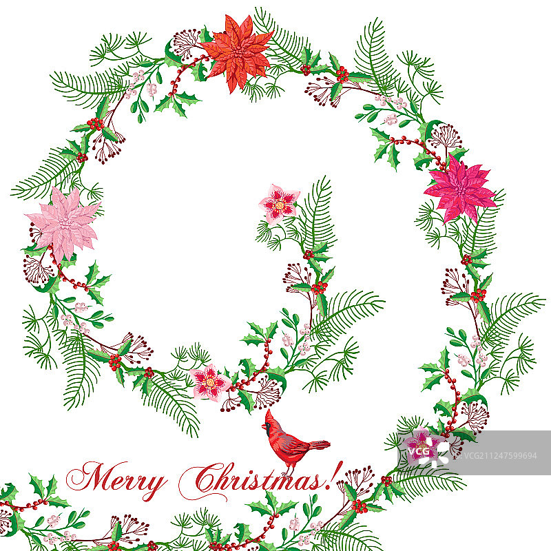 小鸟和圣诞红装饰圣诞卡片图片素材