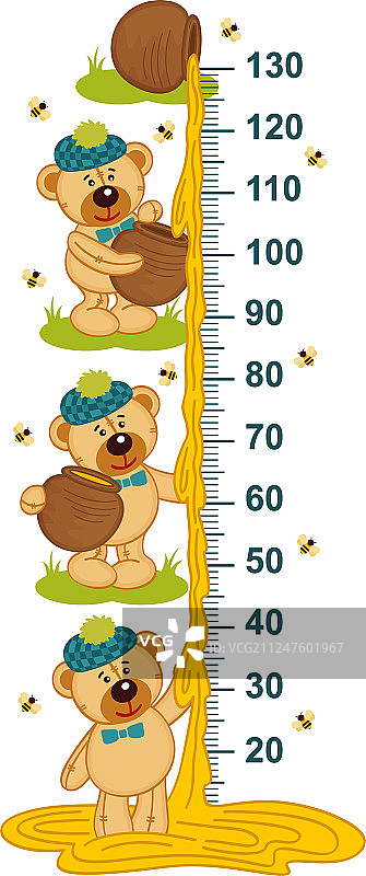 泰迪熊和蜂蜜身高测量图片素材