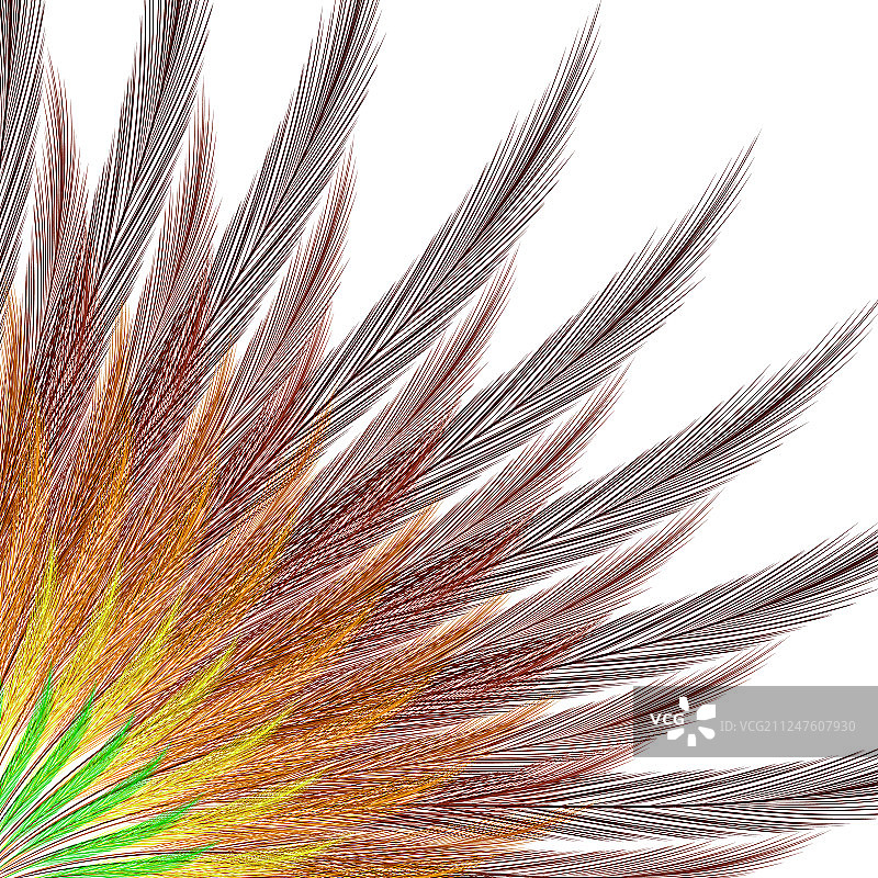 里约热内卢狂欢节邀请函模板图片素材