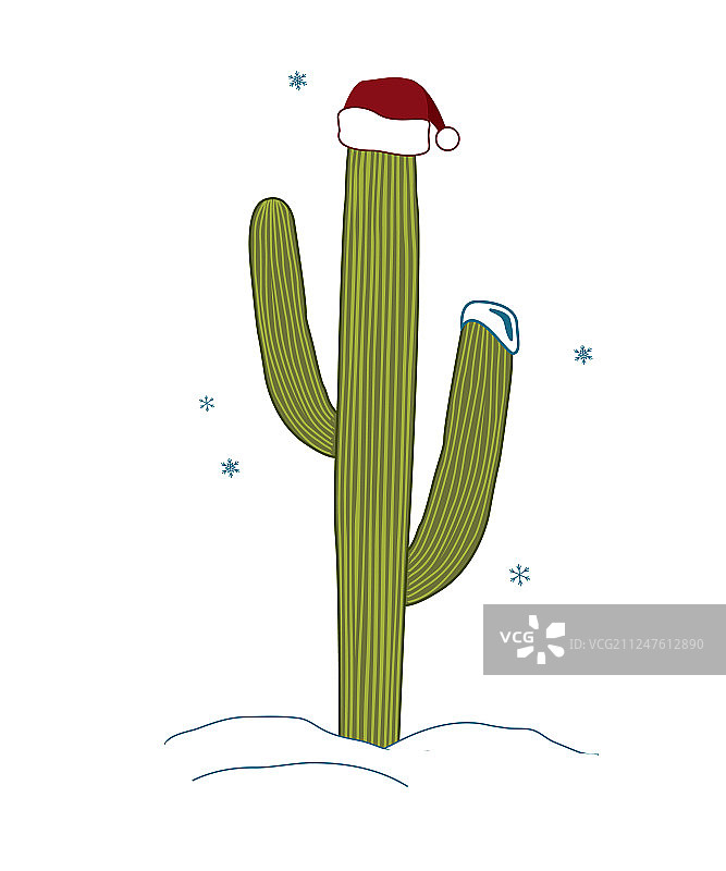 戴圣诞帽的仙人掌图片素材