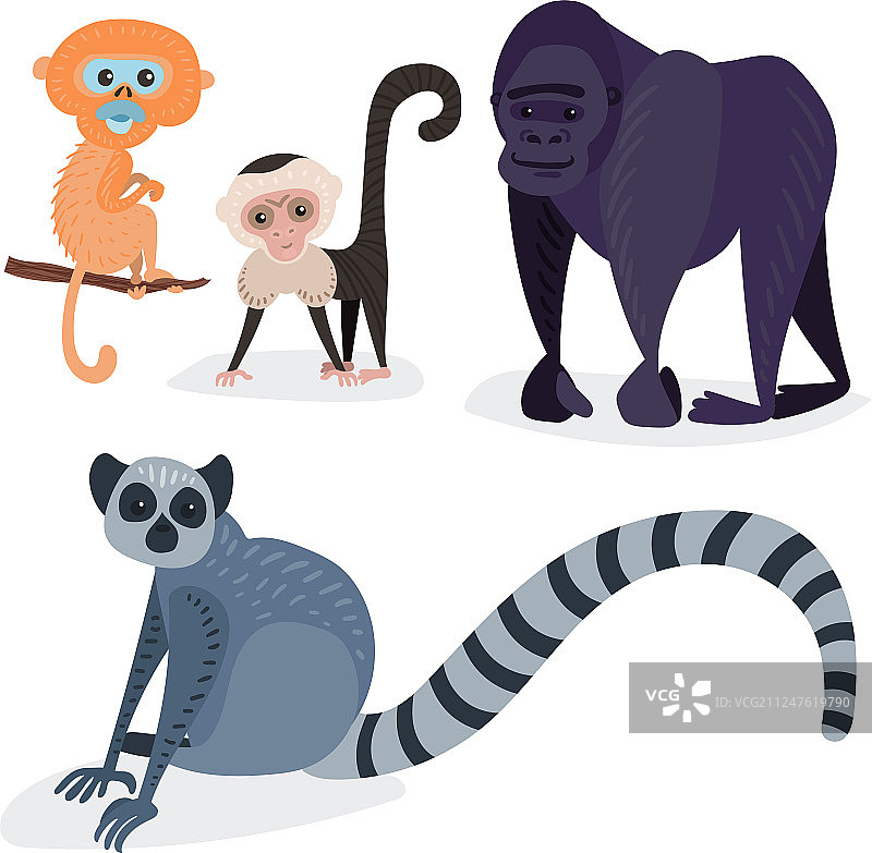 不同的面包，猴子性格动物野生动物园图片素材