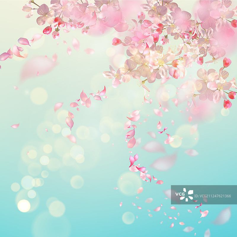 春天盛开的背景图片素材