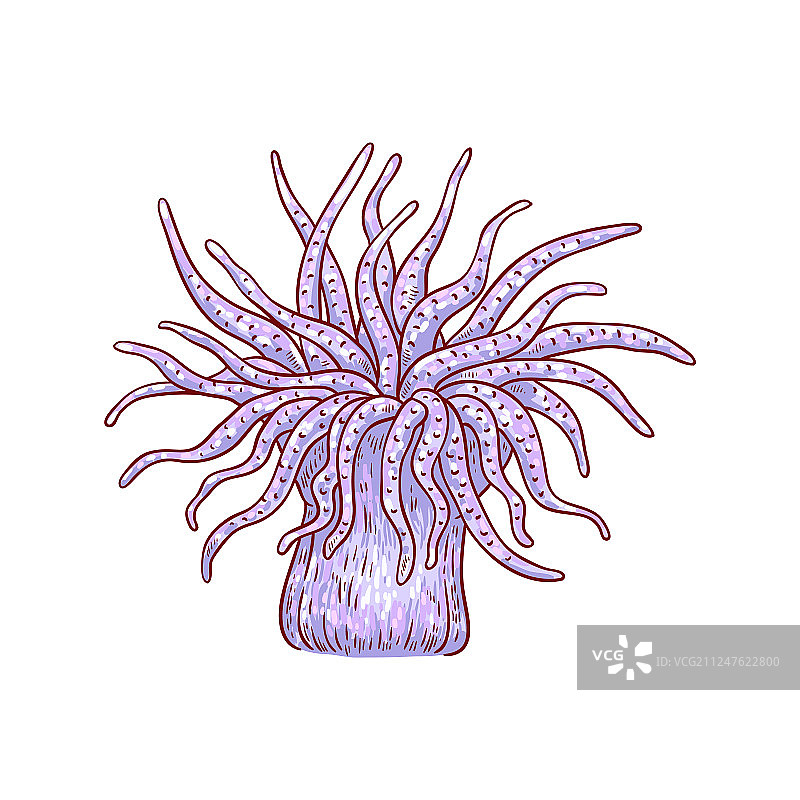 红色珊瑚水生植物速写图标图片素材