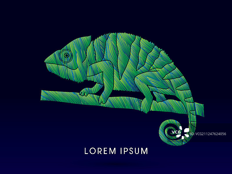变色龙图片素材