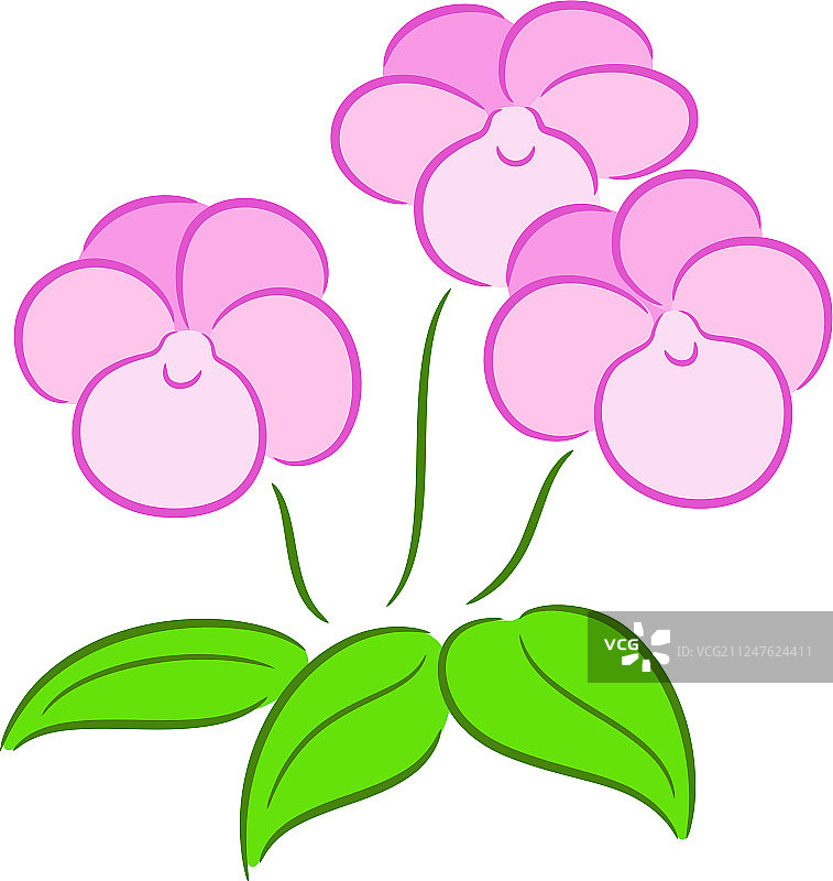 三色堇图片素材