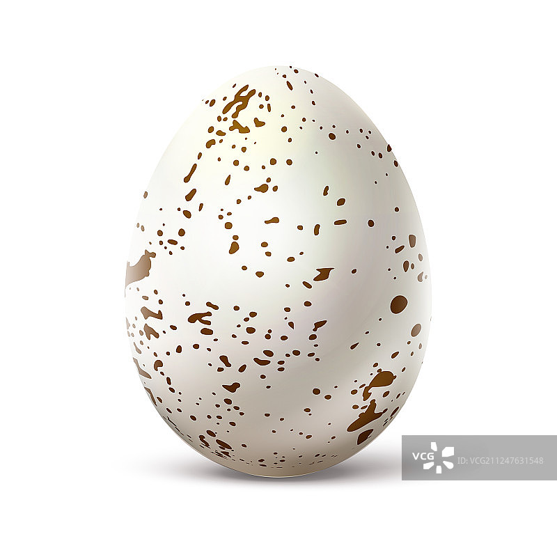带斑点的白色鸡蛋图片素材