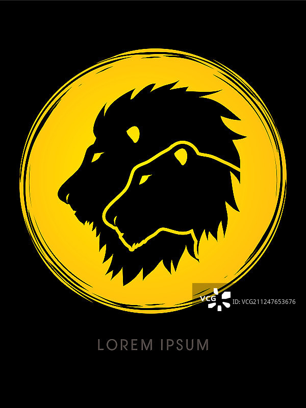 狮子和母狮头部图片素材