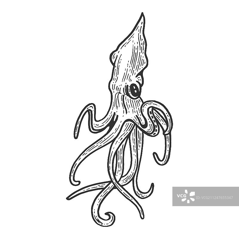 鱿鱼动物素描雕刻图片素材