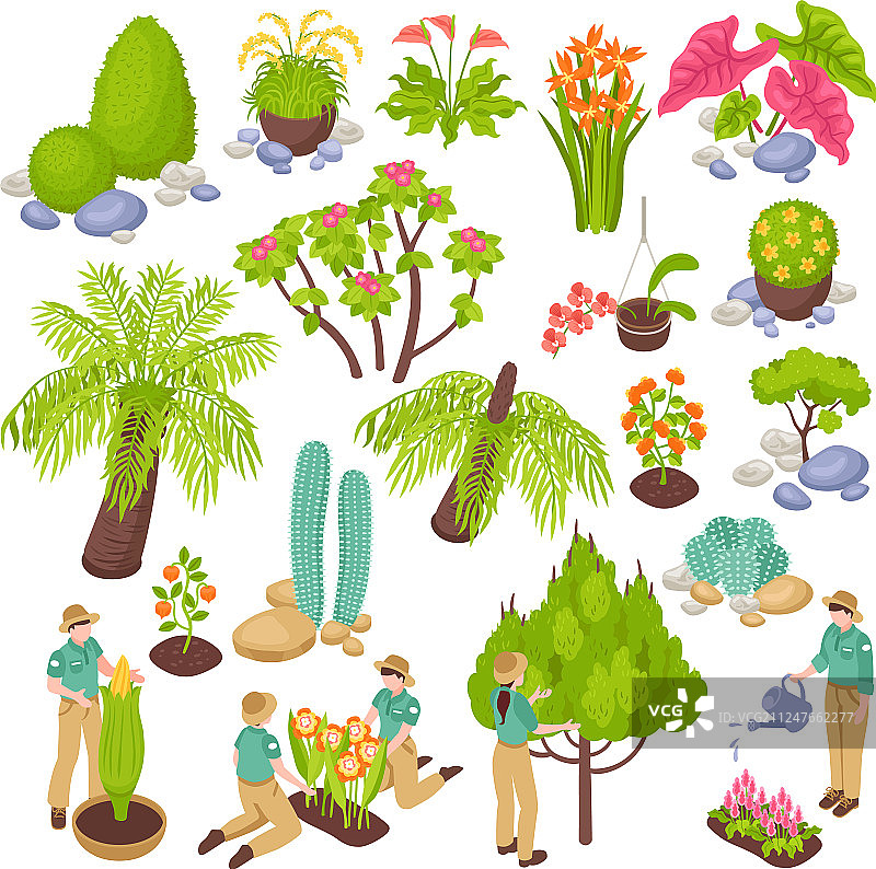 植物园构造器套装图片素材