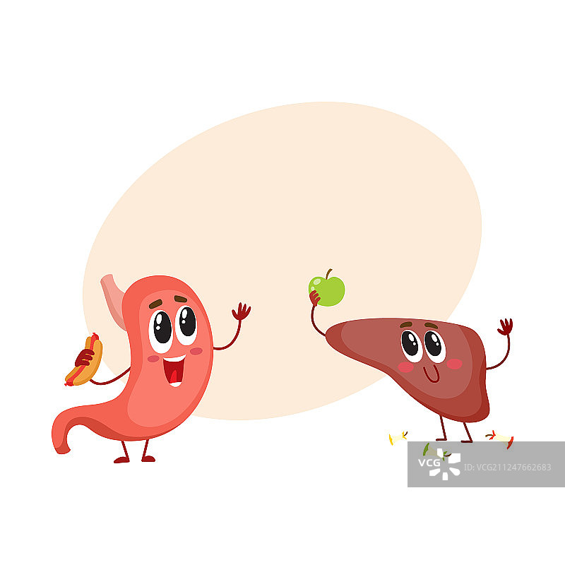 可爱有趣的微笑人体胃和肝脏图片素材