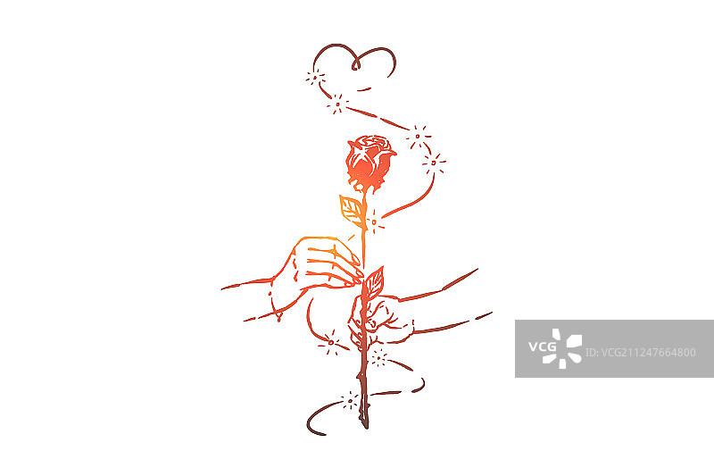 男人在周年纪念日向女人赠送玫瑰花图片素材